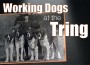 F Working Dogs at the Tring