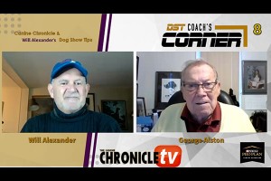 DST Coach's Corner 8