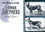 F The History of the German Shepherd