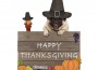 Funny,Turkey,And,Pug,Dog,Wearing,Pilgrim,Hat,For,Thanksgiving