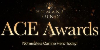 AKC Humane Fund