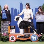 GCHB. Del Sur's Turning The Tide At Cold Iron