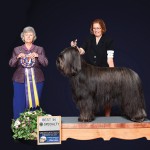 GCHB. Sendero's Playing With Fire