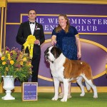 GCHS Heart Mountain's Bodacious At Sapphire Mountain