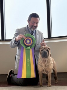 Good Fortune Good And Ready