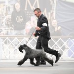 AB GCHS. Sheep Creek Malbec