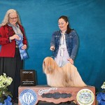 GCH. Xeralane’s Captain Caveman