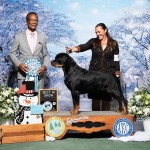 GCHB. CAMMCASTLES NATIONAL ANTHEM V SANGUINO