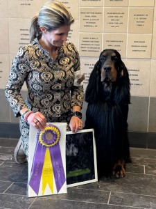 Tamarack Valley View River of Dreams