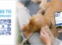 CanineCollegeAPP