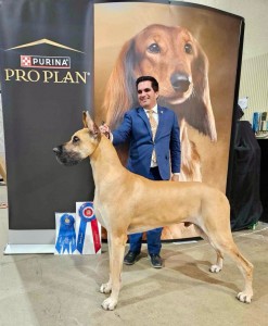 Eb The Relentless Pursuit Of Perfection