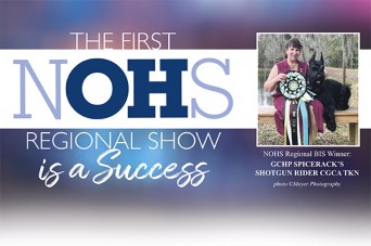 F First NOHS Regional Show