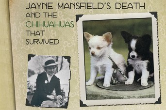 F Jayne Mansfield's Death