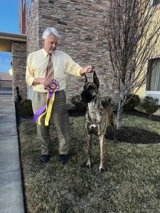 Lemaire's Go Your Own Way