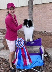 Oakdale Honeyhill Vantage Point