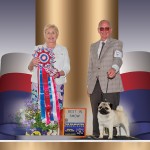 925-CH-Zuma's-Pump-Up-The-Jam