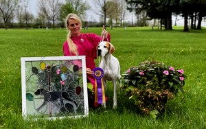 Bookstor Fabello Larksong