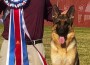 Clayfield Coco Of J&E Rockyoak Norberge