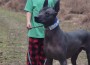 KassianNextGen