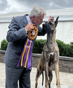 Lemaire's Go Your Own Way