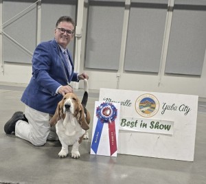 Blossomhil's Topsfield Sanchu All Shook U