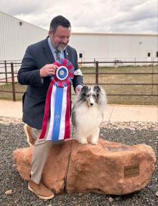 Blue Heaven's Orange Crush