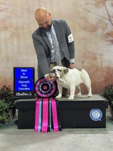 Bristols The Devil Wears Prada