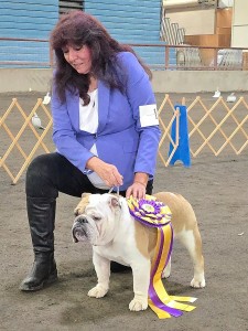 Brumar's Making Ole' Memories Come Alive