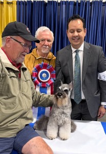 Carmel Mr. Joe Adamis 51125