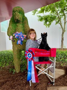 Chyscott's The Dark Horse