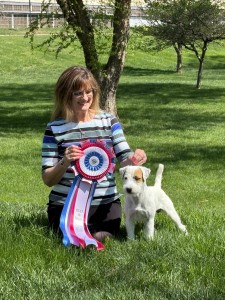 Classic's High Voltage Zap