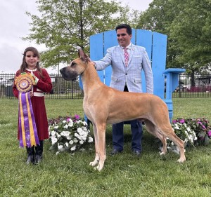 Eb The Relentless Pursuit Of Perfection BISS