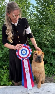 Good Fortune Jump for Joy