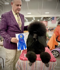 Hightide Tarquin We Didnt Start The Fire