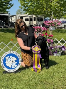 Hoffmanns Chimichanga