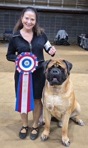 Impeccable's Odysseus The Faithful