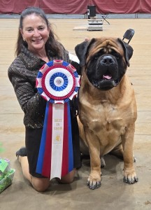 Impeccables Odysseus The Faithful