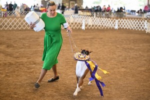 Irondale's Saved By The Bell