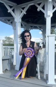 Justart American Dynasty