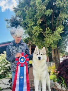 Karnovanda's Foggy Night