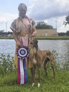 Lex-Ayur-Es-Sahel-225x300