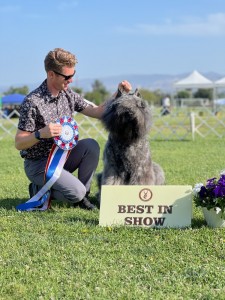 Mon Amie Guardian Of The Galaxy At Terra