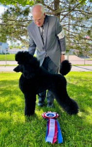 Nightwind Turn Up The Fire