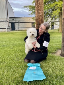 Northern Lights Ursa Major Bear