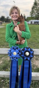 Rexroth Kimro Valentina