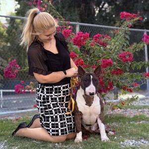 Rocky Top's Dream Chaser