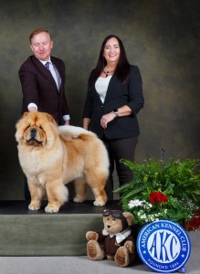 Shangri-La’s Xmas Surprise for Elite