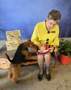 Studio Be Curious Jp Justice Hero