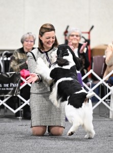 Wynmoor Diamond in the Ruff NOHS2