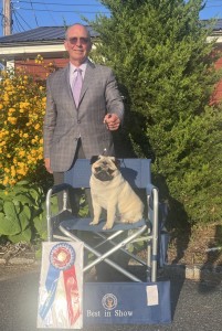 Zumas Pump Up The Jam